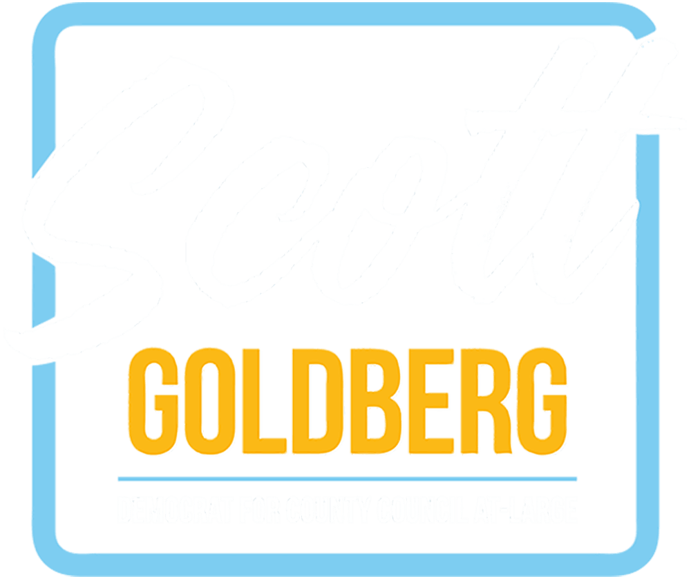 Scott Goldberg, Democrat for County Council at large